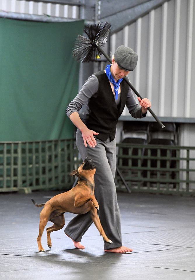 One to one dog training session