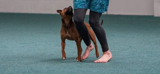 Bru performing heelwork to music