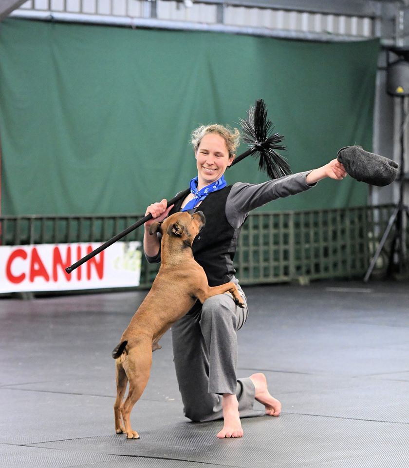 Heelwork to music competition routine