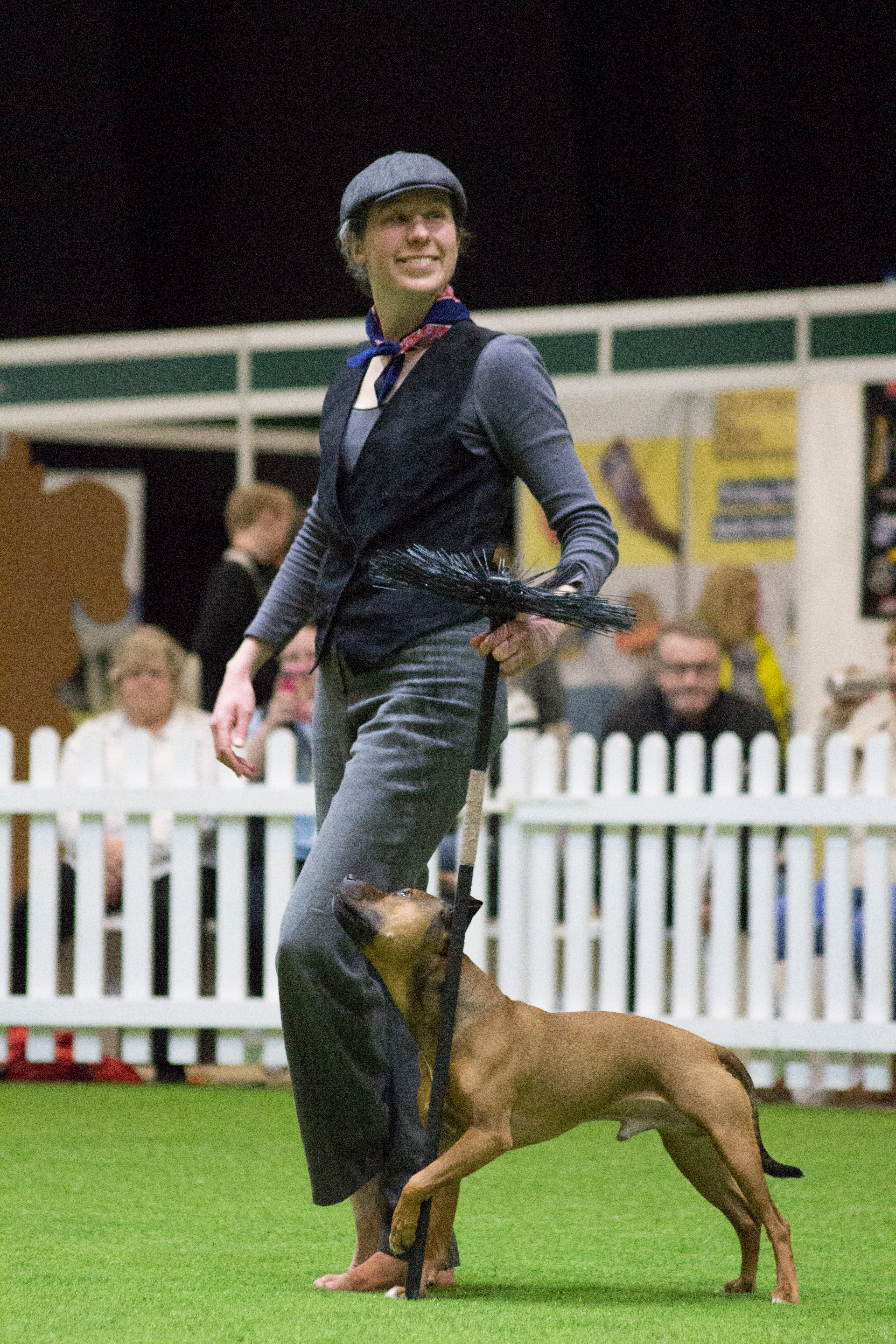 A handler performing a heelwork to music routine